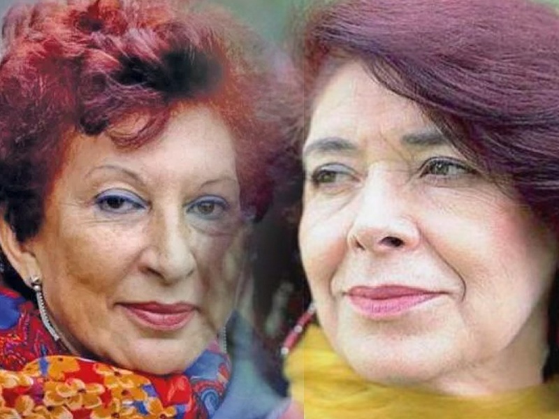 وشائج بين آسيا جبار وفاطمة المرنيسي