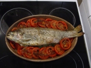 Truite de mer aux tomates