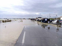 El Tarf / Inondations                                    Plusieurs axes routiers impraticables