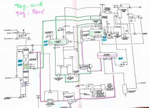 غراتان السبانخ و الياهورت الطبيعي