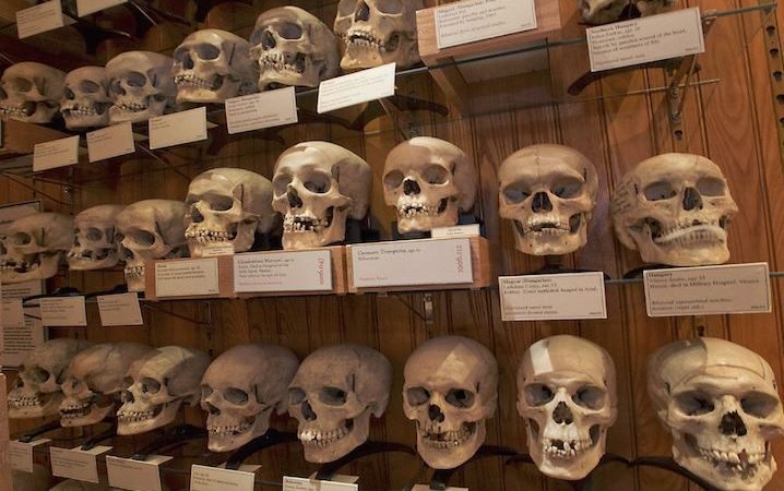 ILS SONT DANS UN MUSÉE À PARIS 536 crânes de résistants algériens recensés