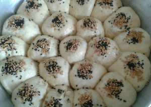 خلية النحل بحشوة الدجاج