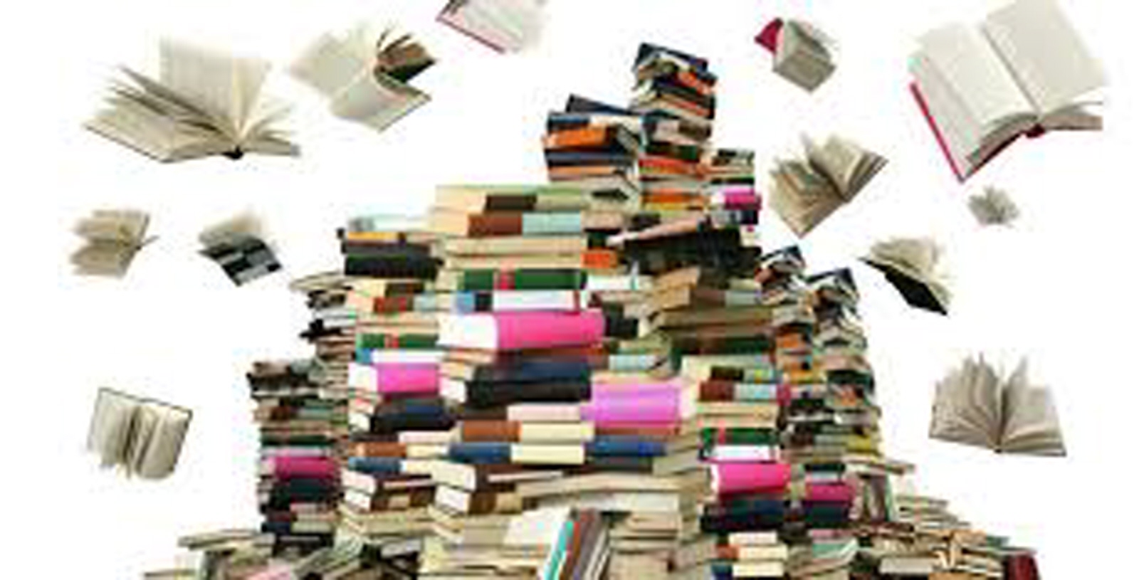 BOOKIN I: l’EIC au pays des livres