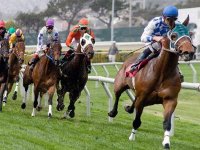 L'écurie N.Harcha en force Les courses à El EULMA