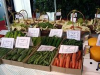 L'Algérie à la traîne                                    Industrialisation de la production agricole