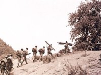 Cinquantenaire de la guerre d'indépendance : France culture consacre 24h de ses émissions à partir d'Alger