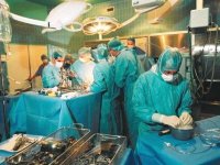 La culture du don d'organes se propagera avec le temps en Algérie