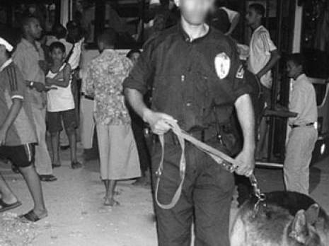 Insécurité : la criminalité en hausse de 44% en 2011                                    Chlef : les autres articles