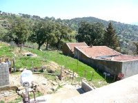 Un glissement de terrain endommage des habitations à Ain Zana (Souk Ahras)