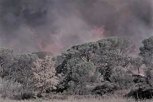 Retour des pêcheurs
