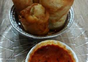 ديول الدجاج