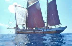 Planète - Réhabiliter la voile dans le transport maritime, une idée dans le vent ?