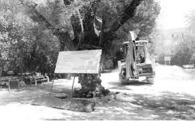 Rénovation de «J’nen beylek», à Biskra:  Les travaux suscitent le courroux de l’association Biskra la verte