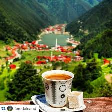 ماذا أحتاج لأستطيع تقديم طلب من أجل الحصول على تأشيرة دخول الكترونية لتركيا ؟