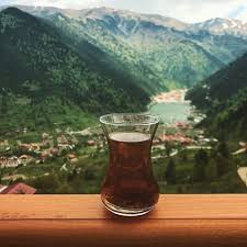 ما هي الفوائد التي سأجنيها من الحصول على تأشيرة دخول الكترونية لتركيا؟