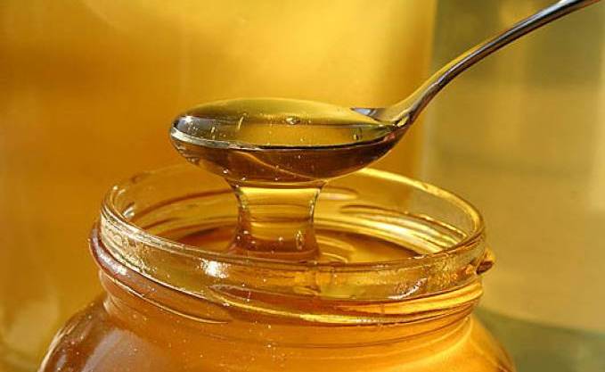 HACÈNE ZAOUI, expert agricole et formateur à l’Institut technique des élevages de Baba Ali «Le miel algérien est hautement toxique»