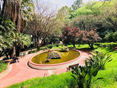 World Peace Gardens lance son prochain site à Alger