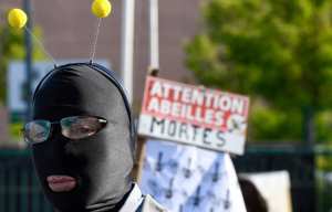 Planète - Rennes (France): Les apiculteurs en guerre contre les pesticides après l’hécatombe de cet hiver