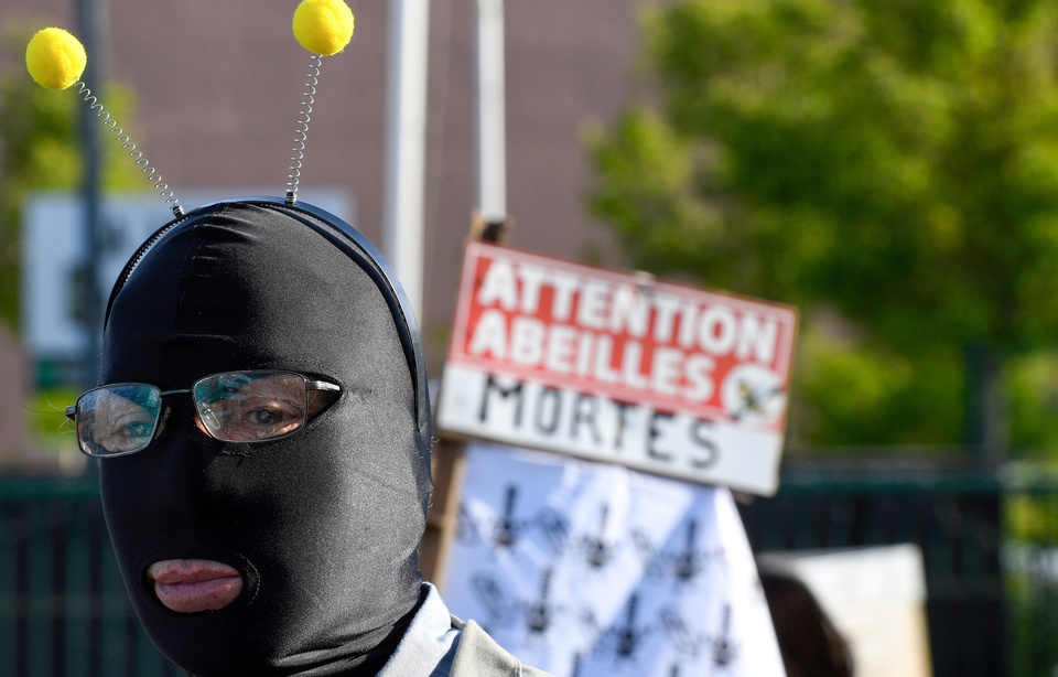 Planète - Rennes (France): Les apiculteurs en guerre contre les pesticides après l’hécatombe de cet hiver