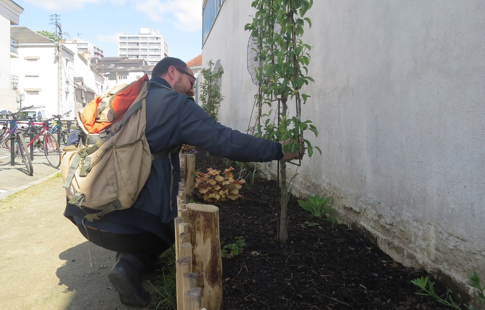 Planète - Nantes (France): Les habitants appelés à fleurir leurs trottoirs pour la deuxième année consécutive