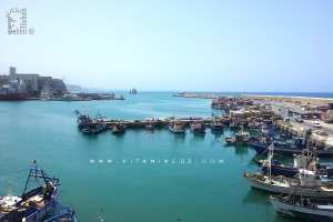 Ghazaouet : La ressource halieutique menacée