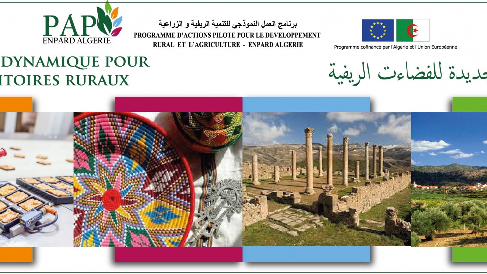 Valorisation des ressources locales au service du développement territorial, thème d’un atelier à Tlemcen