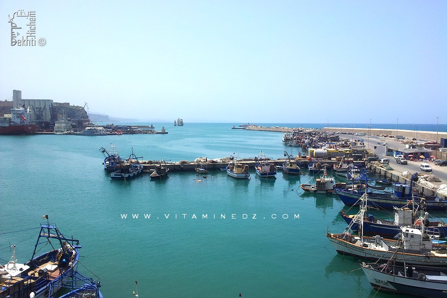 Ghazaouet : La ressource halieutique menacée