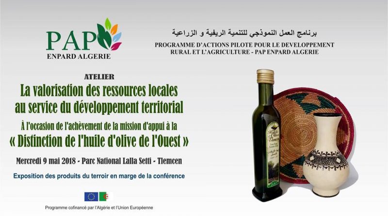 TLEMCEN : Valorisation des ressources locales au service du développement