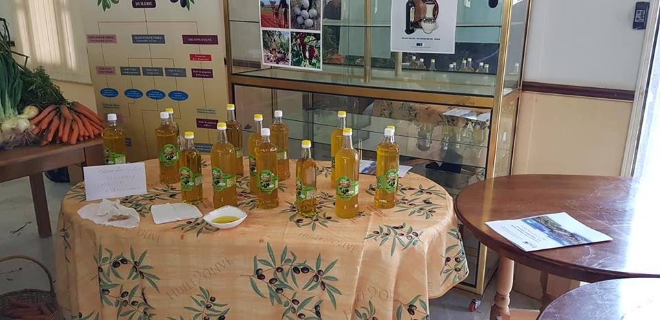 Tlemcen La labellisation de l’huile d’olive locale en projet