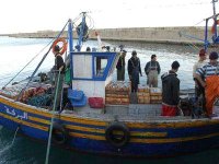 Algérie-UE : un nouveau programme d'assistance technique dans le secteur de la pêche prévu fin 2013