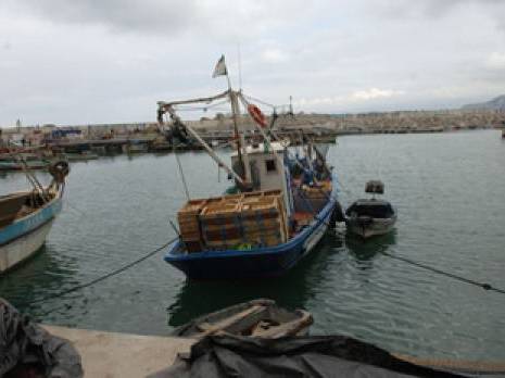 La mise à niveau des PME en débat                                    Secteur de la pêche