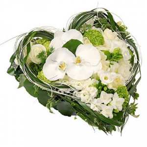 Poème dédié à ma mère, et à toutes les mères.