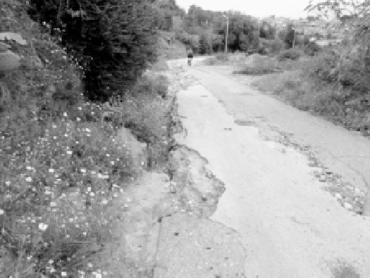 Ghazaouet : La route d’El Mizab dans un piteux état