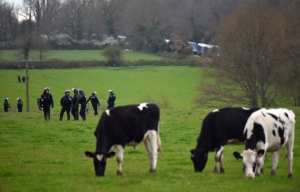 Planète - Notre-Dame-des-Landes (France): Ils demandent l'inscription de la ZAD au patrimoine mondial de l'Unesco