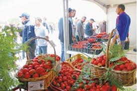 La production a pratiquement doublé cette année:  Skikda a fêté sa fraise