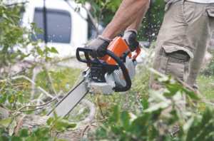 CITÉ DES 80-LOGEMENTS À SÉTIF:  Les habitants attendent l’abattage d’arbres allergènes