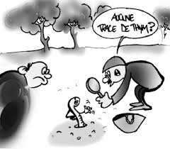 Des faunes de cueilleurs s’adonnent à sa récolte à Jijel:  Menace sur le thym