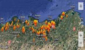 Algérie - Feux de forêt 22 recommandations pour éviter la catastrophe de 2017