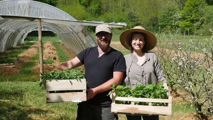 Planète - Ingénieurs à Paris, ils ont tout plaqué pour devenir paysans dans le Périgord
