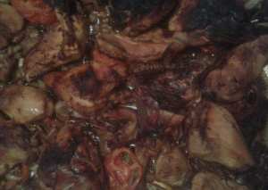 صينيه دجاج بالفرن😍😍