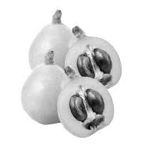 Kolèa (Tipasa) -  Le néflier menacé de disparition