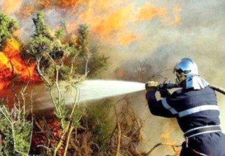 Tlemcen: Impliquer le citoyen dans la prévention contre les feux de forêts