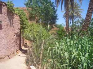 -les caractéristiques de la région de Tiout