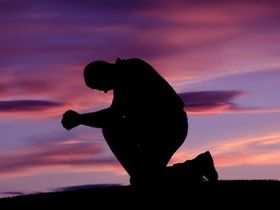 que reste t'il, a cette belle planète, d'avoir quartes vingt dix neuf requins, et neuf milliards poisons.