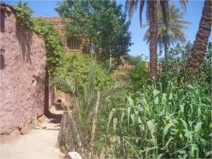 Présentation de la commune Tiout