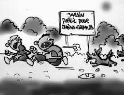 Didouche Mourad (Constantine) - Déficit d’espaces verts: La population étouffe