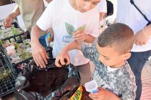 ASSOCIATION NEMLA DE BÉJAÏA:  Journée de formation sur le compostage de marc de café