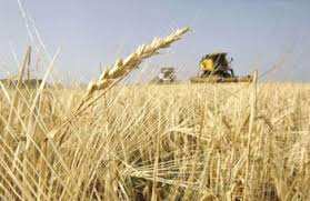 Lancement officiel de la campagne moissons battages pour l'année agricole 2017-2018