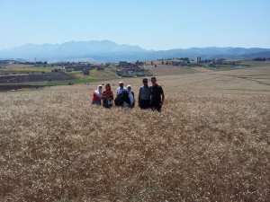 Enquête rendement céréales, campagne 2017-2018 (phase prélèvement des échantillons de blé dur et d’orge)