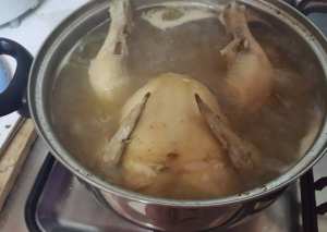 حساء الدجاج